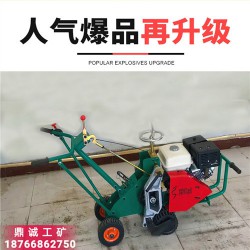 廣西南寧300型天然草坪起草機(jī) 自行式汽油臺灣草草坪移植機(jī)