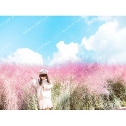 上海Rainbow Baby高端儿童摄影（粉黛子）