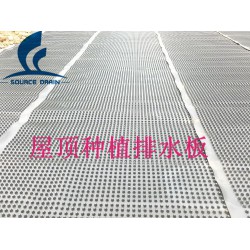 屋顶/车库/绿化种植排水板（阻根效果好）
