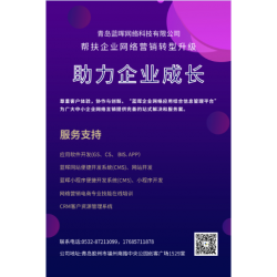 企业网站建站，微信小程序开发，网络营销课程培训