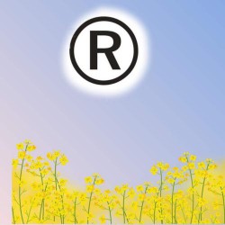 东莞项目申报服务，金林知识产权11年专业服务