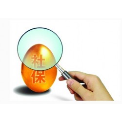 员工社会保险代理的优势，社会保险代理的服务内容