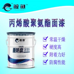 重防腐用聚氨酯面漆丙xi酸聚氨酯面漆化工厂专用各色防腐面漆