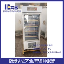 立式防爆冷柜BL-160CL防爆冷藏柜箱内箱外全防爆形式