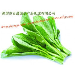 农副产品配送公司_一站式食材配送_新鲜安全_选百蔬园