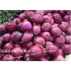 深圳蔬菜配送_农副产品配送_送菜公司-百蔬园蔬菜配送