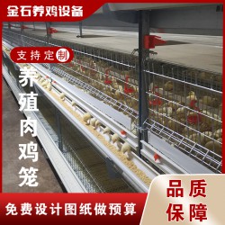 肉鸡养殖设备笼养设备层叠式笼养设备山东金石农牧机械