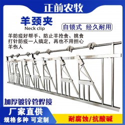 羊场采食颈夹，羊用隔离栏，不锈钢牛羊颈夹，热镀锌围栏