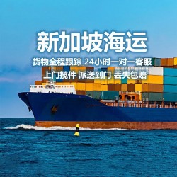 广东到新加坡海运双清到门