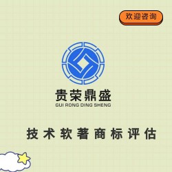 成都市天府新区网站商誉评估APP专利评估非专利技术评估