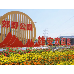 什么情况下可以在雄安新区注册公司