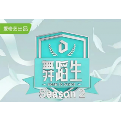 爱奇艺综艺节目舞蹈生2广告价格，爱奇艺视频综艺节目冠名