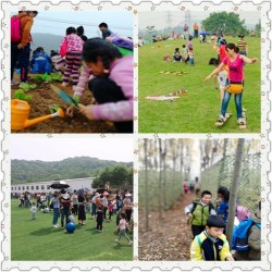培训机构不在纠结没位置去了，游客少武汉周边露营基地手选