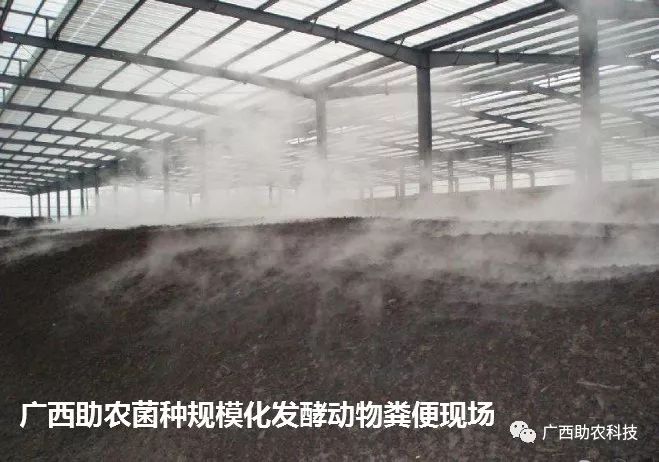 生产有机肥不同规模所需设施投入的建议-先给视频介绍