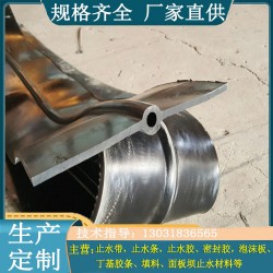 可卸式橡胶止水带 桥梁水利隧道用 橡胶止水带规格齐全送样品