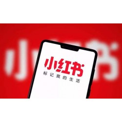 小红书达人推广的模式  红书达人代运营上海氖天