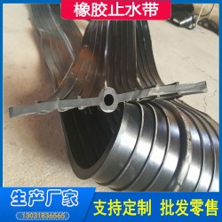 651中埋式橡胶止水带 输水渡槽，挡水坝用 物流发货