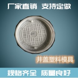 结实的塑料井盖模具精达模具塑料井盖模具方形