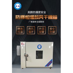 英鹏防爆立式鼓风干燥箱125L