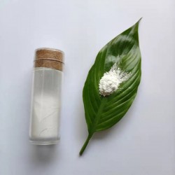 15纳米 气相二氧化硅  抛光液 CY-SP15W