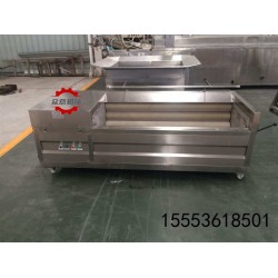 全自动土豆毛辊清洗机 毛辊清洗机 毛辊去皮清洗机