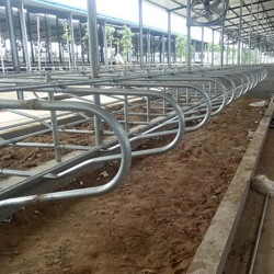 热镀锌加厚牛卧栏 用料足无焊接牛卧床