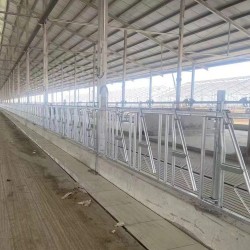 奶牛养殖用牛颈枷 加热镀锌管牛颈夹