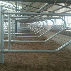 用料足无焊接牛卧床 养牛设备牛卧栏