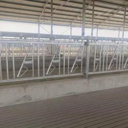 养殖打针栓牛设备 加厚热镀锌牛颈夹