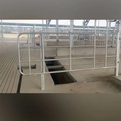 定制羊颈枷 镀锌管牛颈枷