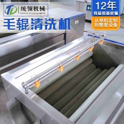 毛辊清洗机 全自动胡萝卜山药高压喷淋毛刷去泥去沙清洗设备