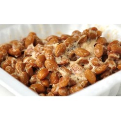 青岛纳豆报关进口需要提前准备的材料