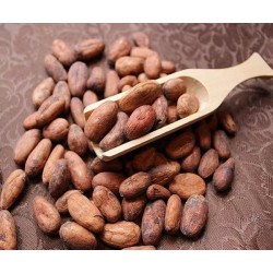 青岛进口可可豆报关操作方法