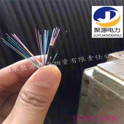 生產(chǎn)銷售各地區(qū)光纜48芯ADSS自承式光纜