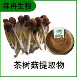 森冉生物 茶树菇提取物 茶树菇多糖 杨树菇提取物