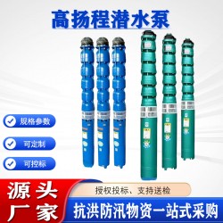 万亿国债隧道应急排水高扬程潜水泵功率≥50kW