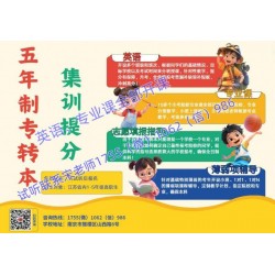 南京晓庄学院五年制专转本名师小班定制课英语专业课都有