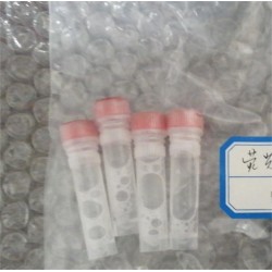 微生物检测-荧光素酶