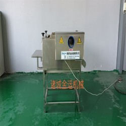 全自动粽叶清洗机 毛辊荷叶去毛机芭蕉叶清洗设备 肉粽加工设备