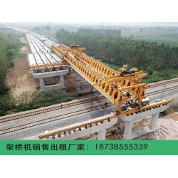 江西鹰潭180吨双导梁架桥机适合哪些桥梁类型