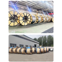 在城市和农村的中低压配电网中钢芯铝绞线厂家